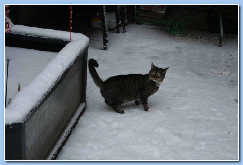 Arnhem Snow 071